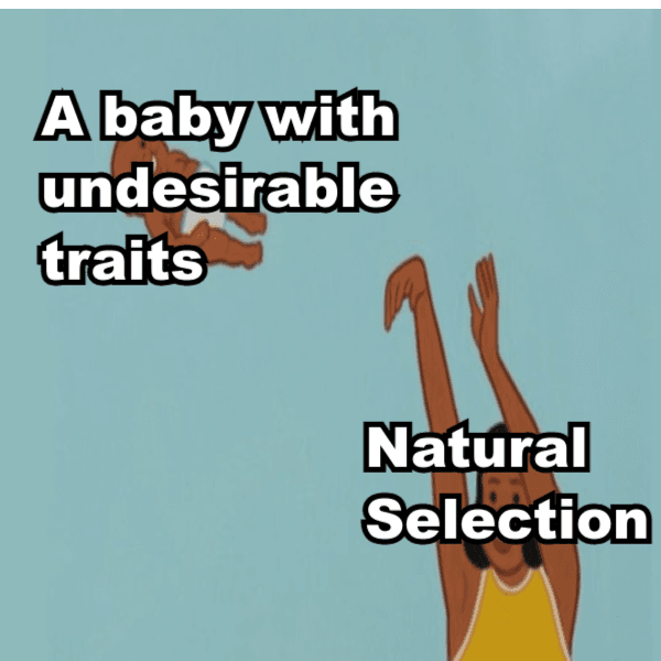 Monkey puppet looking at monkey puppet : r/MemeTemplatesOfficial
